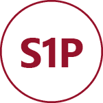 Em conformidade com a norma EN ISO 20435 Categoria - S1P